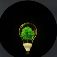 خدمات برق دلوین