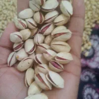 پسته احمد آقای