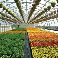 نیاز به سرمایه گذار (شریک)