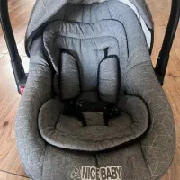 کریر نوزاد مارک دلیجان