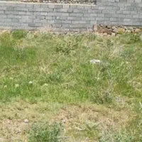 خریدار زمین