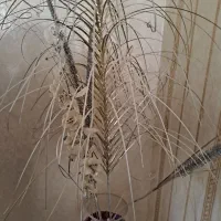 گل گلدان جام پایه بلند