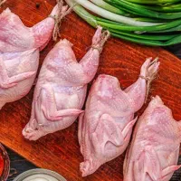 گوشت بلدرچین