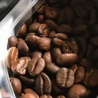 ادمین اینستاگرام