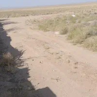 زمین روستای آقابزرگی|فروش زمین و ملک کلنگی|نیر (یزد), |دیوار