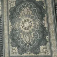 فرش|فرش|ری, شهرک نظامی|دیوار