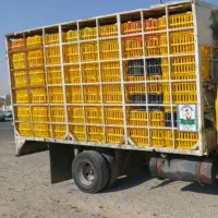 اتاق عقب مرغی مسقف مشبک