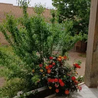 اجاره منزل ویلا سویت باهمه امکانات همرابارفتینگ|اجارهٔ خانه و ویلا|سامان, |دیوار