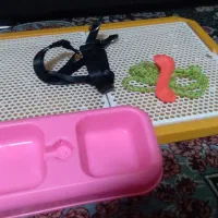 وسایل مورد نیاز سگ