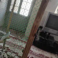 سلام یکلوی چوبی ماله پرنده ماله مرغ مشتری واقیزن