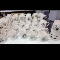 ماگ|ظروف نگهدارنده، پلاستیکی، یکبارمصرف|مشهد, پنجتن|دیوار