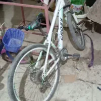 دوچرخه ۱۶و۲۶|دوچرخه، اسکیت، اسکوتر|سربیشه, |دیوار