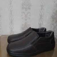 کفش مردانه|کیف، کفش، کمربند|کرمانشاه, |دیوار