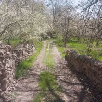 ۴۶۰متر زمین فشند آب برق گاز