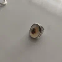 شجر تک درخت