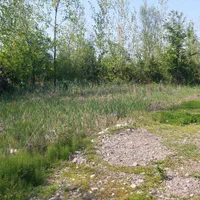 لولمان ۳۸۰ متر زمین مسکونی دور دیوار