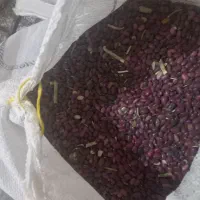 لوبیا|خوردنی و آشامیدنی|تیران, |دیوار