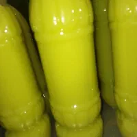 سبزینه تینا