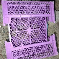 سبد میوه 5کیلویی مواد نو درجه یک|عمده‌فروشی|شیراز, گویم|دیوار