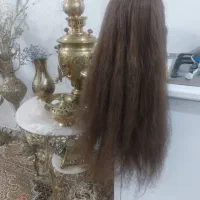 سره مایکن