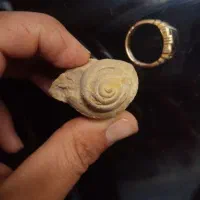 فسیل قدمت دار