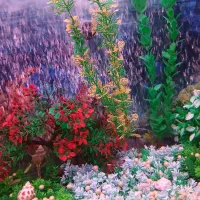 آکواریوم زیبا و با آرامش