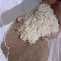 برنج فجر امسال