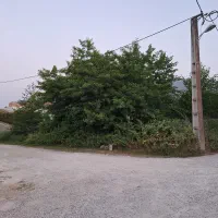 زمین-نقلی-با-جواز-و-سند-شش-دانگ