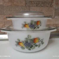 دیس آرکوپال گل میوه