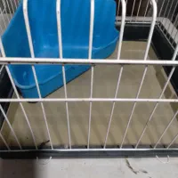 ققفس|لوازم جانبی حیوانات|رشت, علی آباد|دیوار