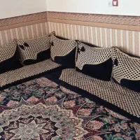 ریه زیرگوشی