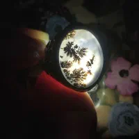 انگشتر شجر منظره بی نظیر