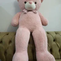 خرس بزرگ وارداتی