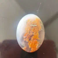 سنگ شجر اصل