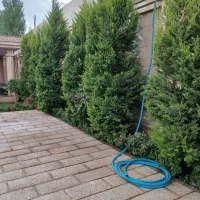 ویلا جهت اجاره روزانه ماه و سالانه...|اجارهٔ کوتاه‌مدت ویلا و باغ|ماهدشت, |دیوار