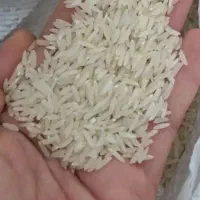 برنج هاشمی مغان