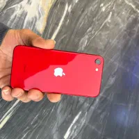 iphone se 2020|موبایل|شیراز, سیلو|دیوار