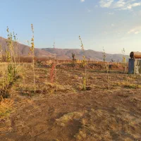 فروش باغ|فروش زمین و ملک کلنگی|هیر, |دیوار