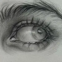 فروش و آموزش درتمامی سبک ها برای همه