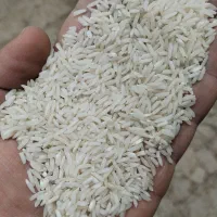 برنج هاشمی معطر