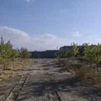 زمین تک برگ سند ازمجتمع شرکت برق|فروش زمین و ملک کلنگی|گلمکان, |دیوار