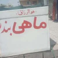 یخچال هفت صدکیلوی درحدنو تمیز مخصوص حمل ماهی|یخچال و فریزر|بندرعباس, |دیوار