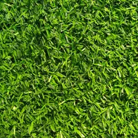 فنس چمن مصنوعی دیواری