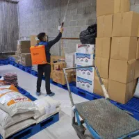 سمپاشی/موریانه سوسک ساس سم پاشی/گرانتی ومهر شرکت