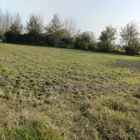 زمین کشاورزی