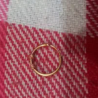 گواشواره گمشده