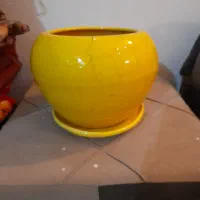 گیاه پتوس وگلدان سفالی|گل و گیاه طبیعی|تهران, عباسی|دیوار