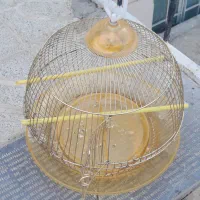 قفس طلایی سالم|لوازم جانبی حیوانات|سنندج, |دیوار