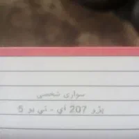 کارت سوخت ماشین 207 پیدا شده