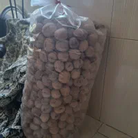 گردو تویسرکان